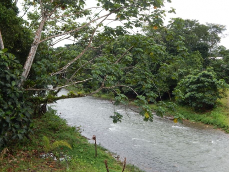 Río Tena
